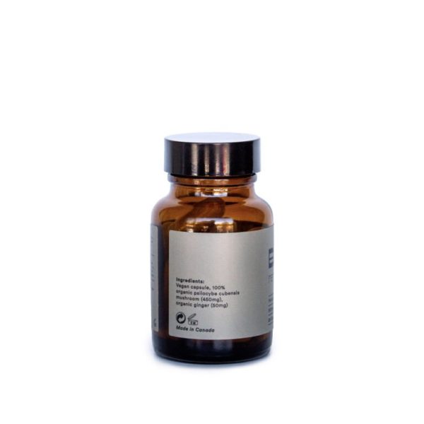 Be Renewed Macrodose Psilocybin Capsules (25 Capsules) - Image 4